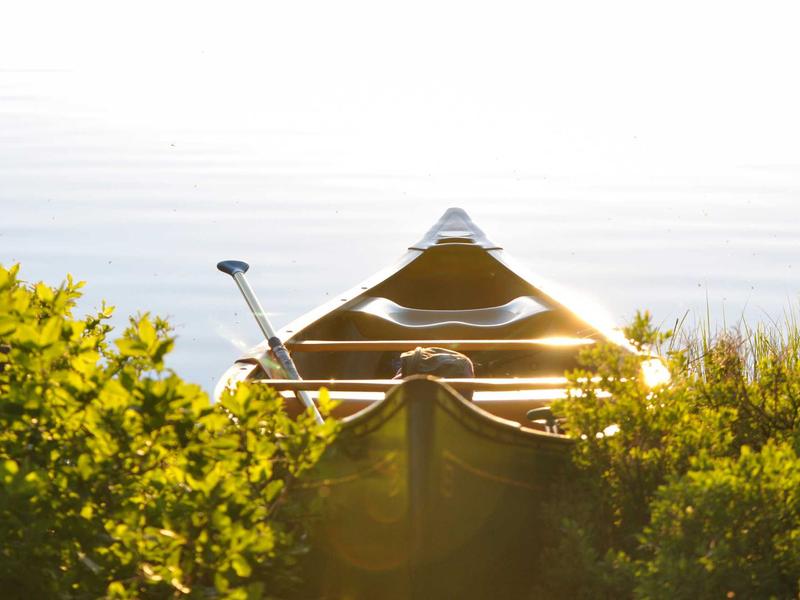 sudoku accessibility options screenshot 4